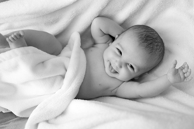 Los 12 meses de t bebé